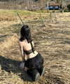 stine_stromskag Altpins Profile Picture