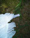 stine_stromskag Altpins Profile Picture