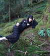 stine_stromskag Altpins Profile Picture