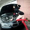 stine_stromskag Altpins Profile Picture