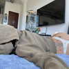 suik0muu Altpins Profile Picture