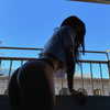 suik0muu Altpins Profile Picture
