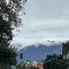 suik0muu Altpins Profile Picture