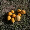suik0muu Altpins Profile Picture