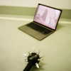 suik0muu Altpins Profile Picture