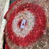 suik0muu Altpins Profile Picture