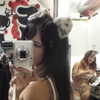 suik0muu Altpins Profile Picture