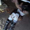 suik0muu Altpins Profile Picture