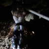 suik0muu Altpins Profile Picture