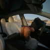 suik0muu Altpins Profile Picture