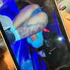 suik0muu Altpins Profile Picture