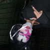 suik0muu Altpins Profile Picture