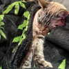 suik0muu Altpins Profile Picture