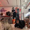 suik0muu Altpins Profile Picture