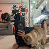 suik0muu Altpins Profile Picture