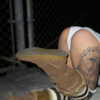 suik0muu Altpins Profile Picture