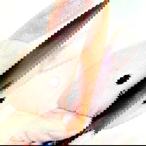 suikomuu suikomuu archive image