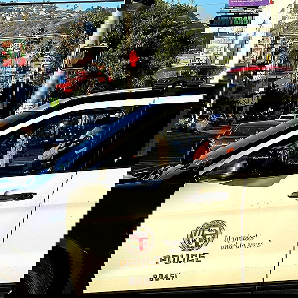 suikomuu suikomuu archive image