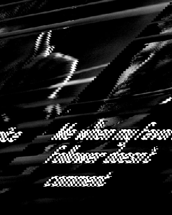 suikomuu suikomuu archive image