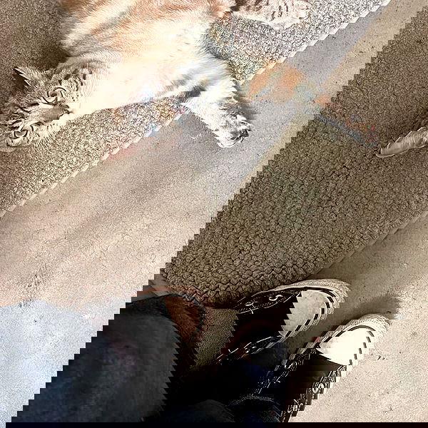 suikomuu suikomuu archive image