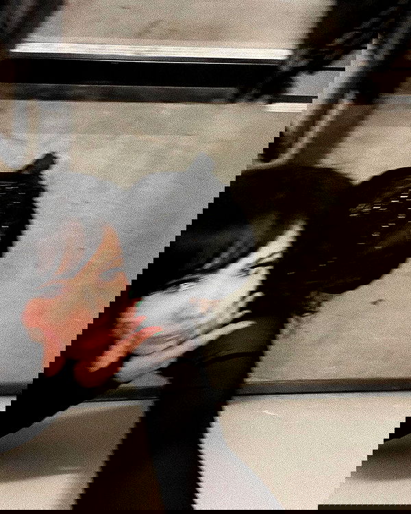 suikomuu suikomuu archive image