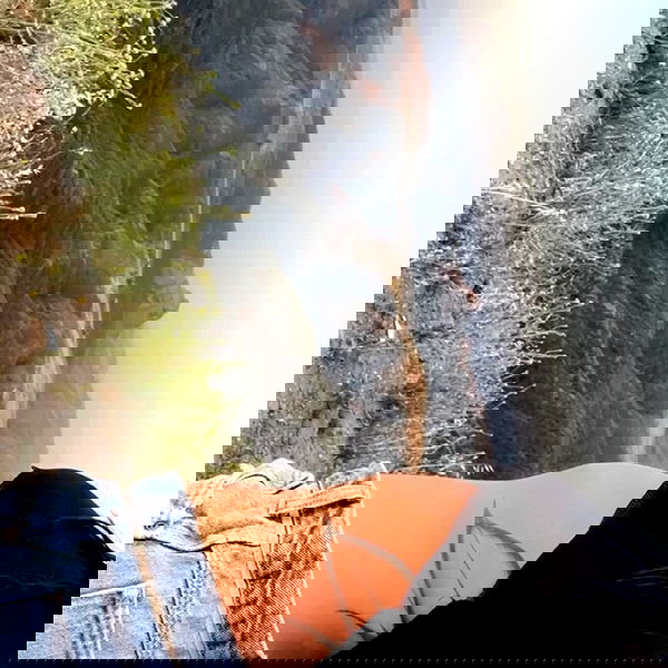 suikomuu suikomuu archive image