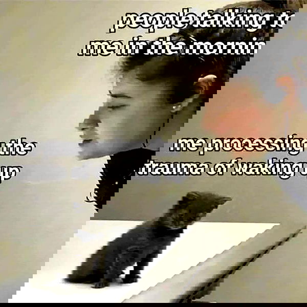 suikomuu suikomuu archive image