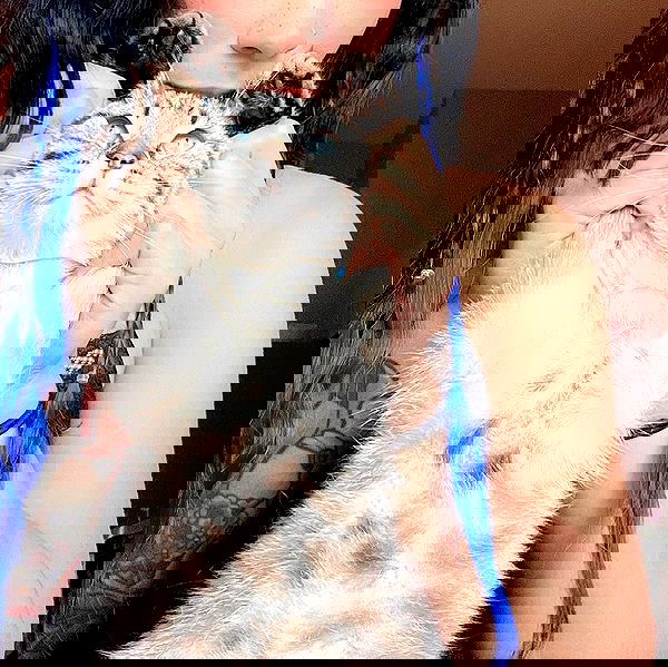 suikomuu suikomuu archive image