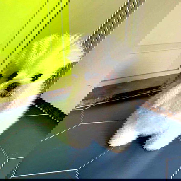 suikomuu suikomuu archive image