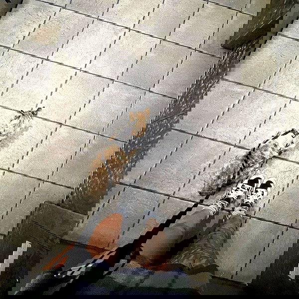 suikomuu suikomuu archive image