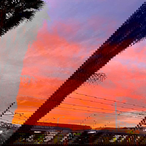 suikomuu suikomuu archive image