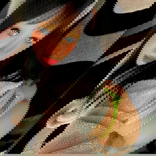 suikomuu suikomuu archive image