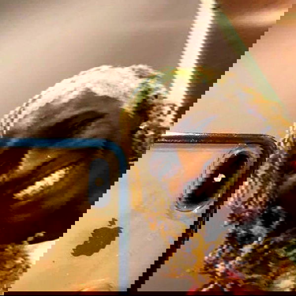 suikomuu suikomuu archive image