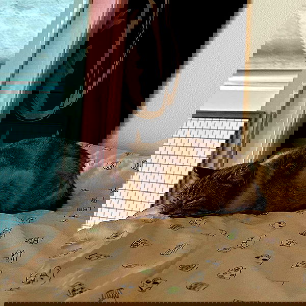 suikomuu suikomuu archive image