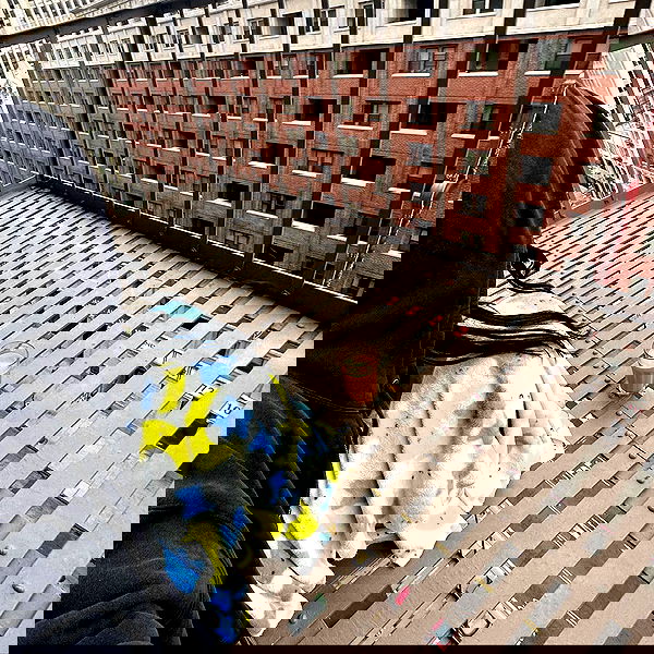 suikomuu suikomuu archive image