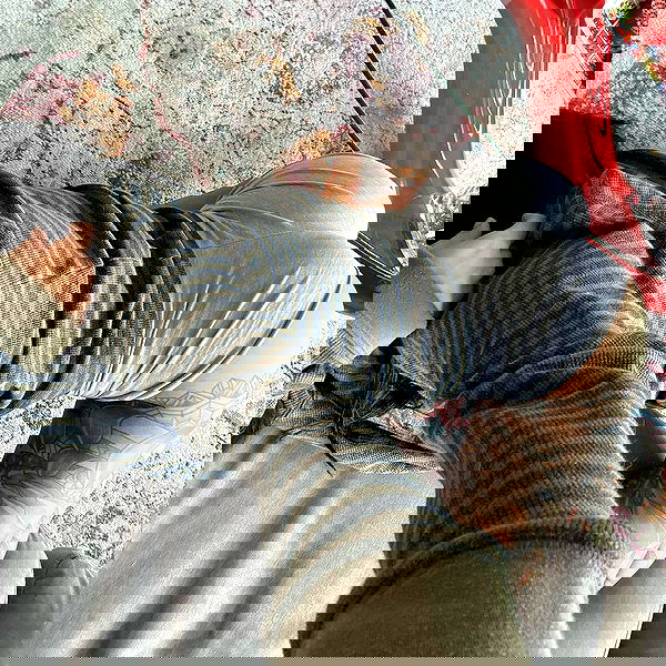 suikomuu suikomuu archive image