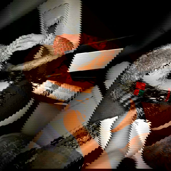 suikomuu suikomuu archive image