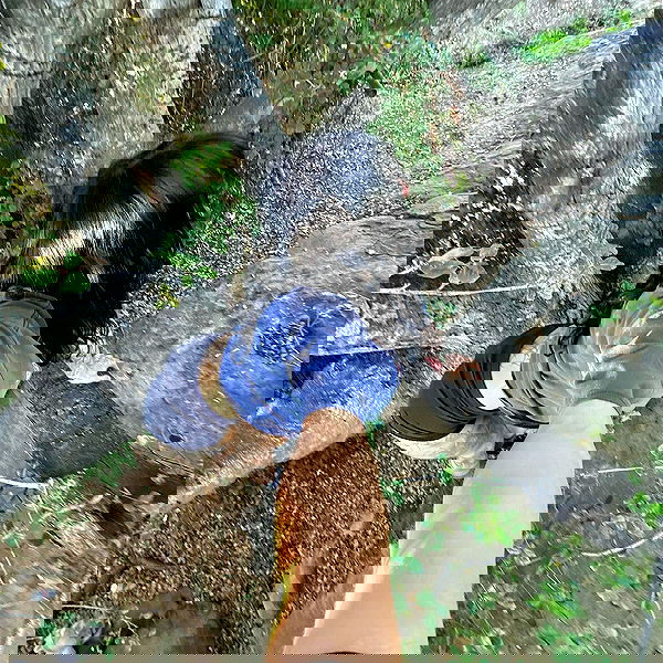 suikomuu suikomuu archive image