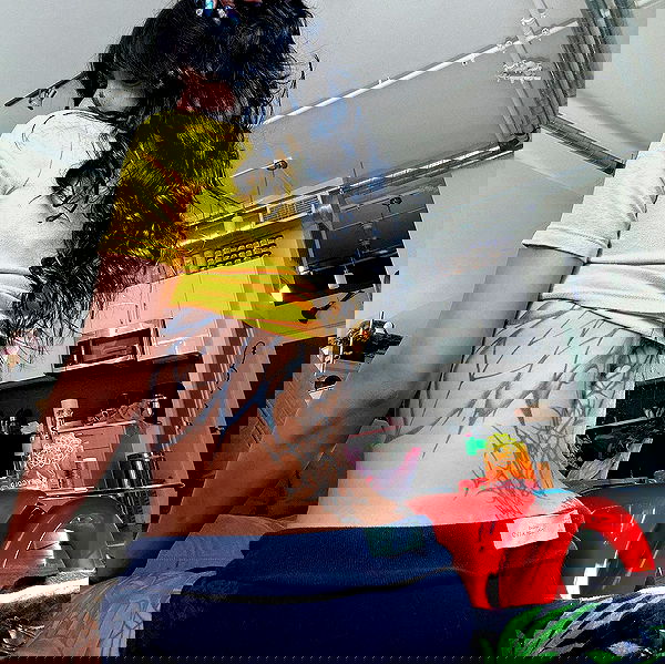 suikomuu suikomuu archive image