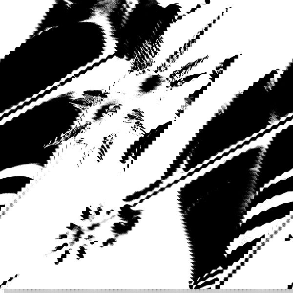 suikomuu suikomuu archive image