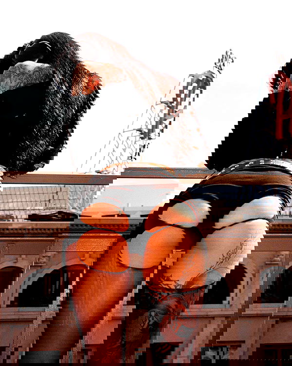 suikomuu suikomuu archive image