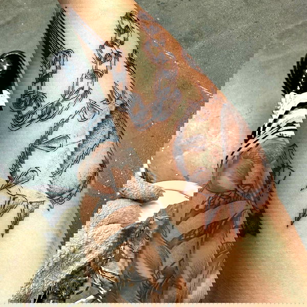 suikomuu suikomuu archive image