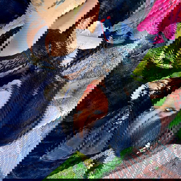 suikomuu suikomuu archive image