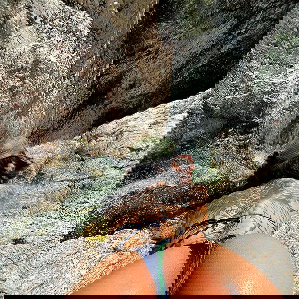 suikomuu suikomuu archive image