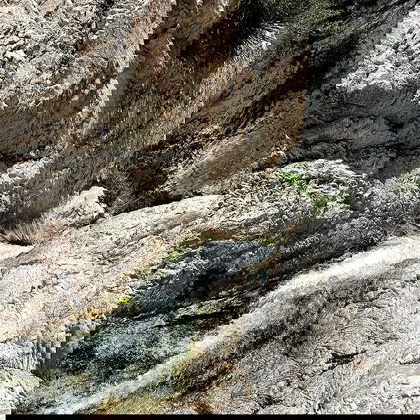 suikomuu suikomuu archive image