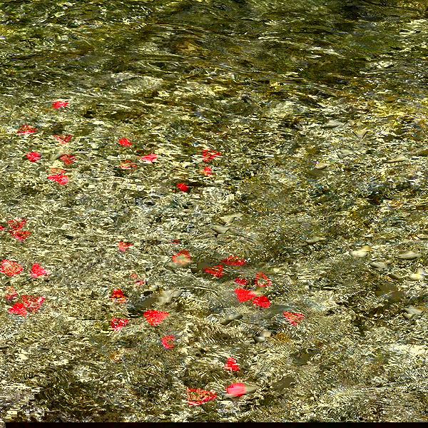 suikomuu suikomuu archive image