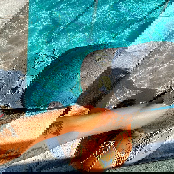 suikomuu suikomuu archive image