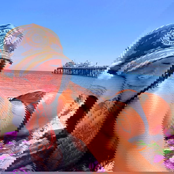 suikomuu suikomuu archive image