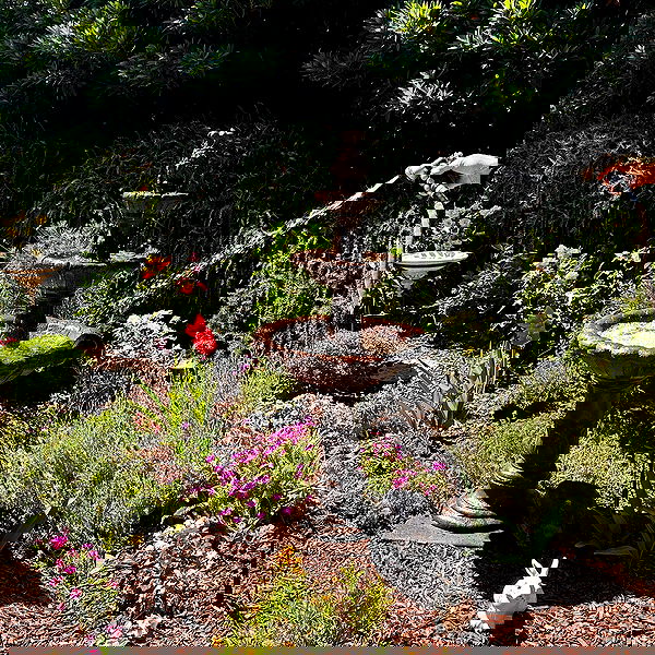 suikomuu suikomuu archive image