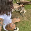 supersick3 Altpins Profile Picture